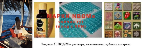 эйфоретик Алзамай