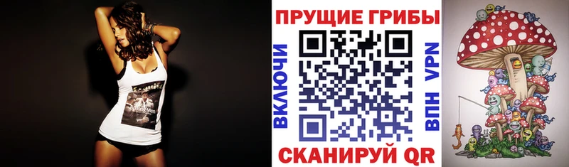 blacksprut ссылки  где найти   Жердевка  Галлюциногенные грибы Psilocybine cubensis 